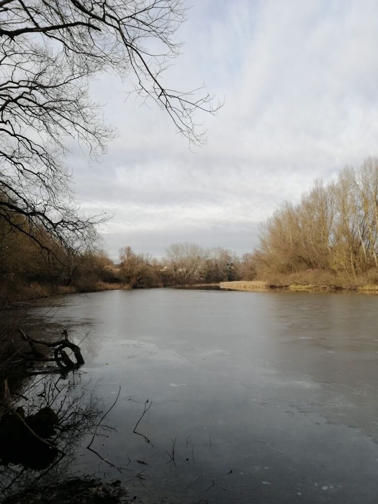Kis-Tisza holtág Szabolcs közelében nyugodt horgászhellyel és természetközeli parttal